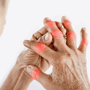 whatsapp image 2025 12 01 at 09.00.21